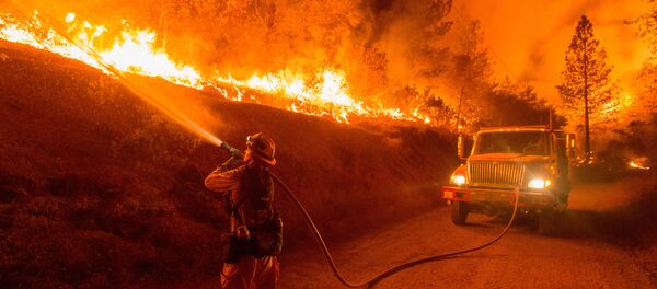 加州森林大火 - 俄羅斯衛星通訊社