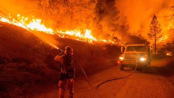 加州森林大火 - 俄罗斯卫星通讯社