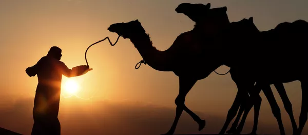 聯合國報告顯示阿聯酋是阿拉伯世界最幸福國家 - 俄羅斯衛星通訊社