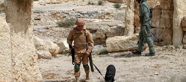 俄工兵在叙巴尔米拉排除1.8万爆炸物 已开始为居民区排雷 - 俄罗斯卫星通讯社