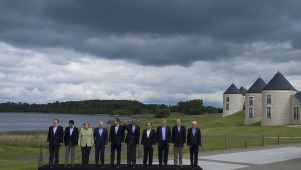 施泰因迈尔：G7一年后或将讨论俄重返G8问题 - 俄罗斯卫星通讯社