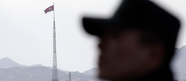 韩国 韩国 - 俄罗斯卫星通讯社