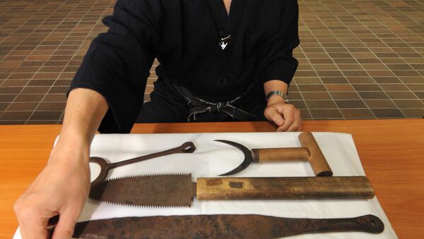 美国人成为第一个日本雇用的外国忍者神龟 美国人成为第一个日本雇用的外国忍者神龟 - 俄罗斯卫星通讯社