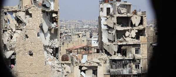 俄驻伊朗大使：俄伊军队就解决叙利亚问题密切开展合作 - 俄罗斯卫星通讯社