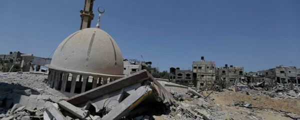 巴勒斯坦望俄罗斯能将经验用于调解巴以冲突 - 俄罗斯卫星通讯社