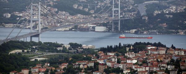 俄驻伊斯坦布尔领事证实两名俄公民在土被捕 - 俄罗斯卫星通讯社