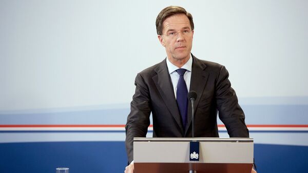 荷兰总理：土耳其总统埃尔多安发飙 称荷兰是法西斯 - 俄罗斯卫星通讯社
