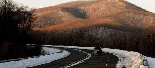 豹之乡 - 俄罗斯卫星通讯社