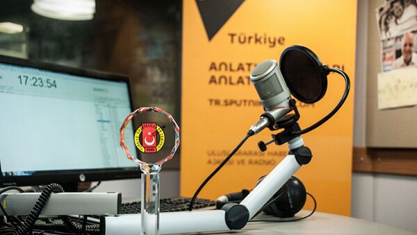土耳其：土当局拒绝解释禁止“卫星”新闻通讯社土耳其编辑部主编入境原因 - 俄罗斯卫星通讯社