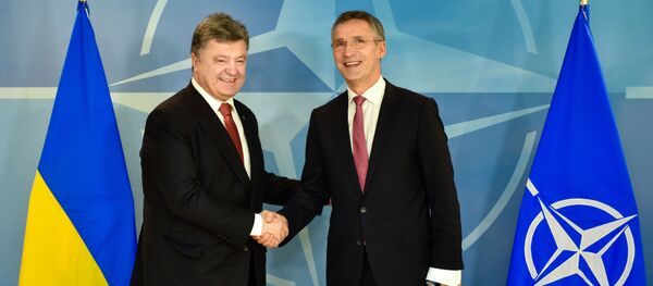 民调：45%乌克兰人支持加入北约 - 俄罗斯卫星通讯社