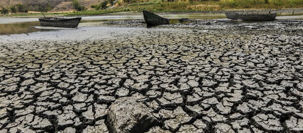 朝鲜干旱天气或对人体健康有灾难性影响 朝鲜干旱天气或对人体健康有灾难性影响 - 俄罗斯卫星通讯社