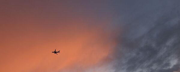 A320型客机 - 俄罗斯卫星通讯社