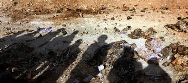 伊斯兰国威胁东南亚安全 - 俄罗斯卫星通讯社