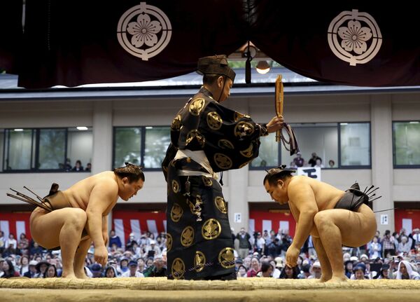 日本Honozumo相撲大賽選手 - 俄羅斯衛星通訊社