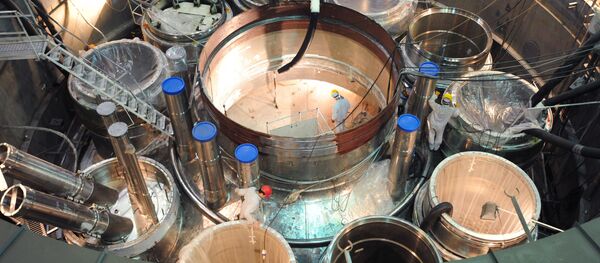 俄原子能集團擬吸引中資籌建遠東核電中心 俄原子能集團擬吸引中資籌建遠東核電中心 - 俄羅斯衛星通訊社