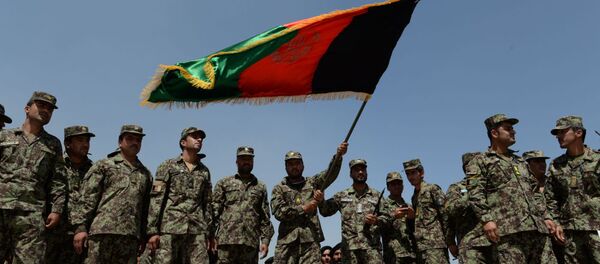 俄总统特使：俄未计划加大对阿富汗的军事支持 - 俄罗斯卫星通讯社