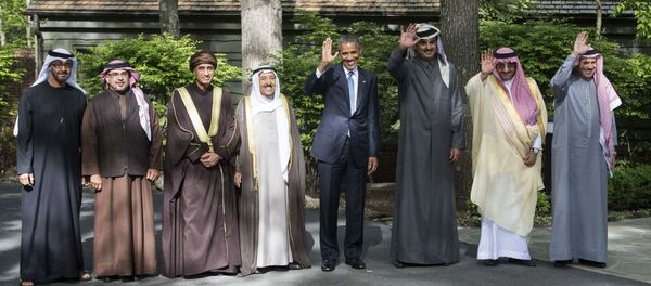 報告：俄中質疑美國在海灣的霸權 - 俄羅斯衛星通訊社