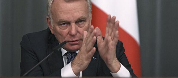 法国外长：叙反对派最高谈判委员会愿重启和解谈判 - 俄罗斯卫星通讯社