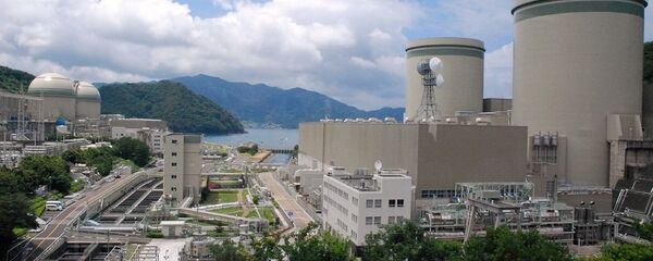 日本高浜核电站4号机组重启工作开始进行 - 俄罗斯卫星通讯社