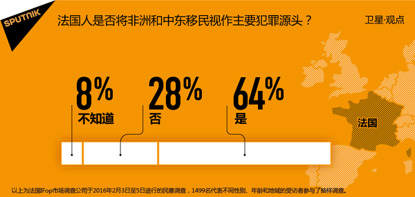 法国人是否将非洲和中东移民视作主要犯罪源头? 法国人是否将非洲和中东移民视作主要犯罪源头? - 俄罗斯卫星通讯社