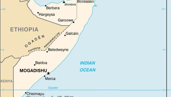 索马里地图 - 俄罗斯卫星通讯社