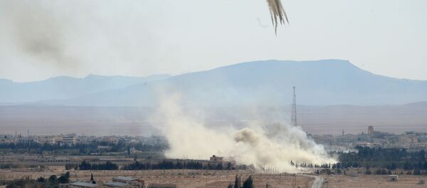 德国外长：应加大对俄政治施压 - 俄罗斯卫星通讯社