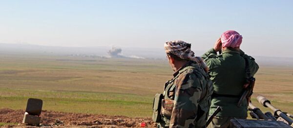 伊防長：IS目前控制不足10%的伊拉克領土面積 - 俄羅斯衛星通訊社