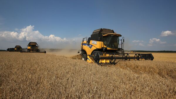 《金融时报》预测俄罗斯将在世界小麦市场居领先地位 - 俄罗斯卫星通讯社