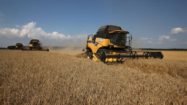 俄罗斯本农业年对华粮食出口量创纪录达12万吨 - 俄罗斯卫星通讯社