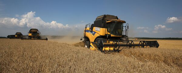 哈巴罗夫斯克市与哈尔滨市签署农业领域合作备忘录 - 俄罗斯卫星通讯社