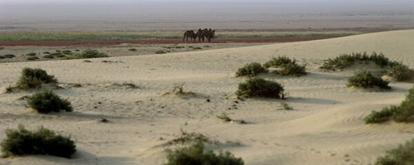 地球陆地面积30年来增加近6万平方公里 - 俄罗斯卫星通讯社