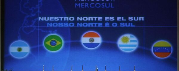 南方共同市场 - 俄罗斯卫星通讯社