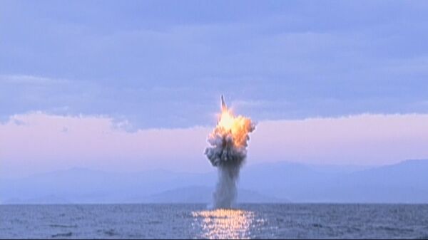 东京就朝鲜潜艇弹道导弹试验向平壤提出抗议 - 俄罗斯卫星通讯社