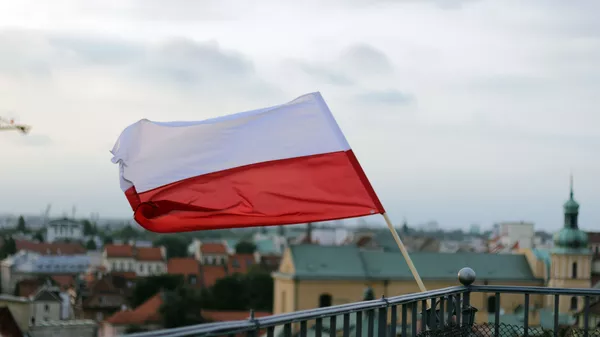 德国右翼政党议员提出暂停波兰欧盟成员国资格 - 俄罗斯卫星通讯社