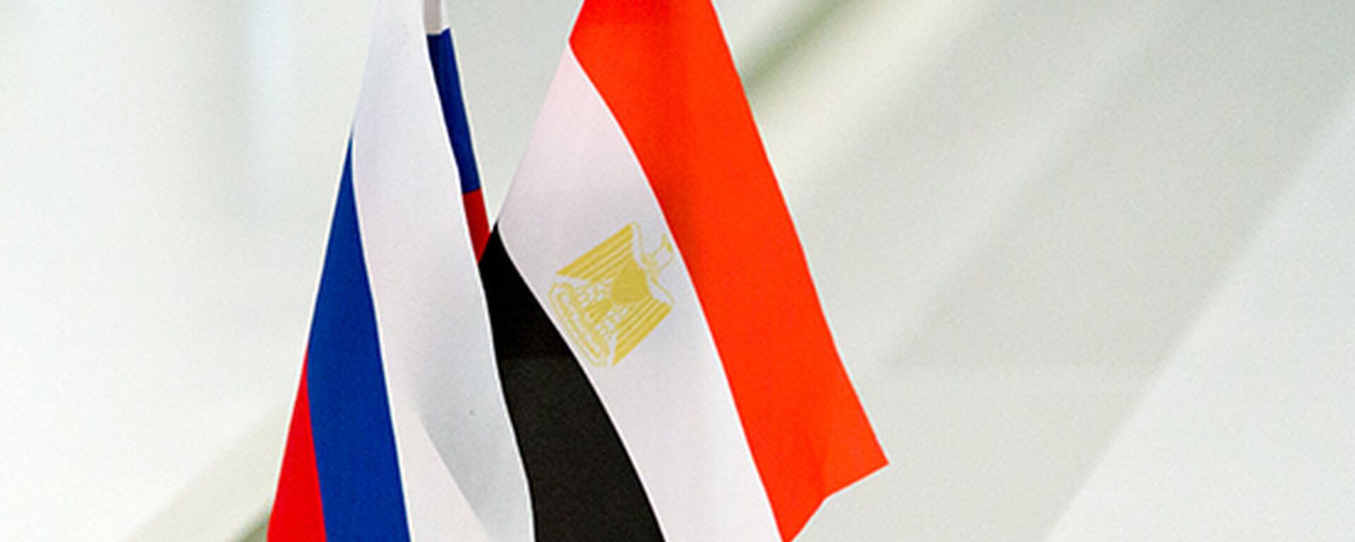 俄罗斯在埃及项目仍继续实施无视西方施加压力 - 俄罗斯卫星通讯社, 1920, 11.02.2023