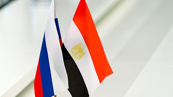 媒体：埃及防长率团出访俄罗斯 - 俄罗斯卫星通讯社