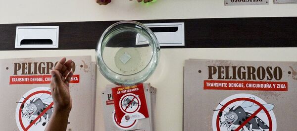 媒体:世卫预警恐爆发“X疾病” 危及数百万人生命 媒体:世卫预警恐爆发“X疾病” 危及数百万人生命 - 俄罗斯卫星通讯社