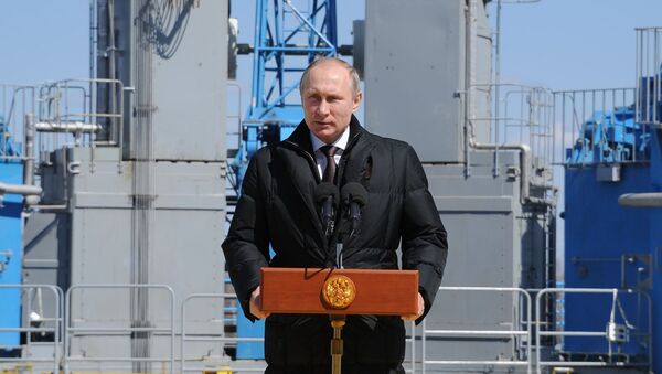 Президент России Владимир Путин на космодроме Восточный - 俄罗斯卫星通讯社