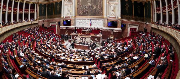 法國議會 法國議會 - 俄羅斯衛星通訊社