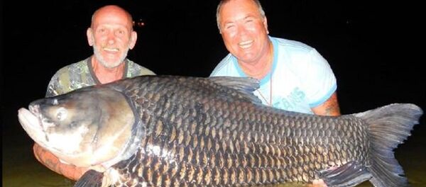 钓鱼迷用骨灰鱼饵吊上80公斤鲤鱼 - 俄罗斯卫星通讯社