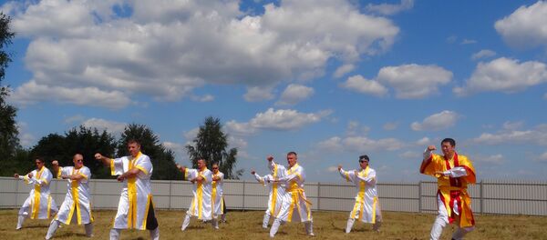 太极拳 - 俄罗斯卫星通讯社