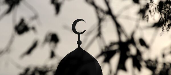 Вид на мечеть - 俄罗斯卫星通讯社