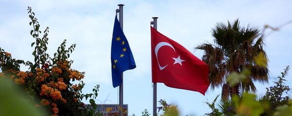 媒体：默克尔反对就土耳其入欧问题开启新的谈判 - 俄罗斯卫星通讯社