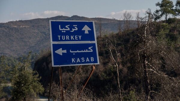 媒体：土耳其考虑应俄罗斯要求关闭土叙边境 - 俄罗斯卫星通讯社
