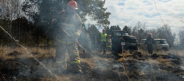森林火災 - 俄羅斯衛星通訊社