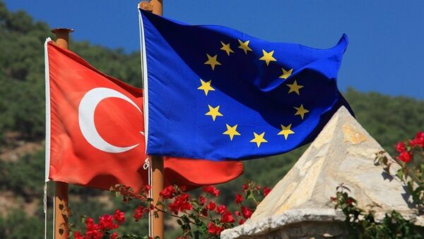 埃尔多安：如果欧盟不为土耳其入欧开放新的谈判条款 土耳其将告别欧盟 - 俄罗斯卫星通讯社