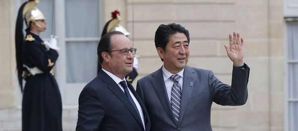 媒體：法日領導人一致認為應繼續與俄對話 - 俄羅斯衛星通訊社