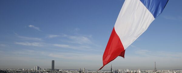 巴黎 - 俄罗斯卫星通讯社