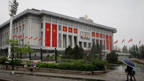 朝鲜无视联合国制裁 向刚果供应武器派遣教练员 - 俄罗斯卫星通讯社