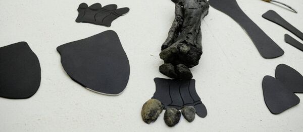 媒体：科学家在南极发现一吨多恐龙遗骸 - 俄罗斯卫星通讯社